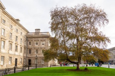 Dublin, İrlanda - 10 Kasım 2015: Trinity College resmi olarak Dublin yakınlarındaki Kraliçe Elizabeth 'in Kutsal ve Bölünmez Üçlemesi Koleji.