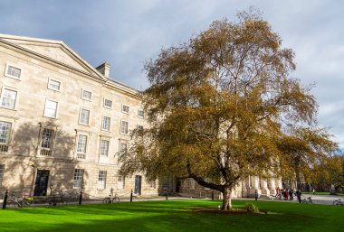Dublin, İrlanda - 10 Kasım 2015: Trinity College resmi olarak Dublin yakınlarındaki Kraliçe Elizabeth 'in Kutsal ve Bölünmez Üçlemesi Koleji.