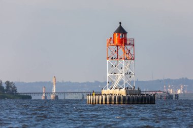 Polonya 'daki Szczecin Gölünde duran kırmızı ve beyaz seyrüsefer feneri, üssünün etrafında sayısız kuş dinleniyor..
