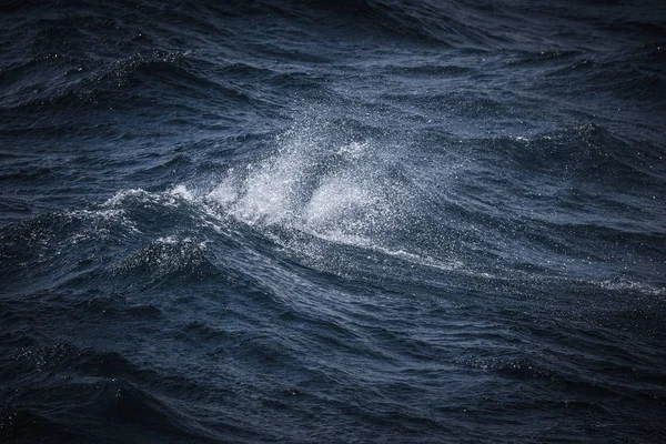Bílý Hřeben Vlny Moře Selektivní Fokus Malá Hloubka Ostrosti Tónovaný — Stock fotografie