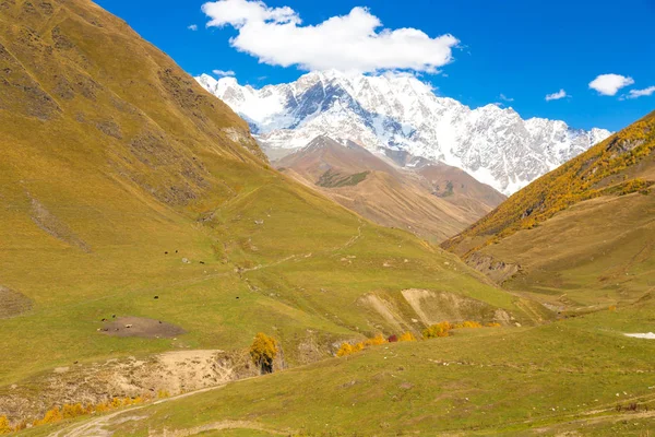 Paisagem Outono Bonito Colorido Svaneti Geórgia — Fotografia de Stock