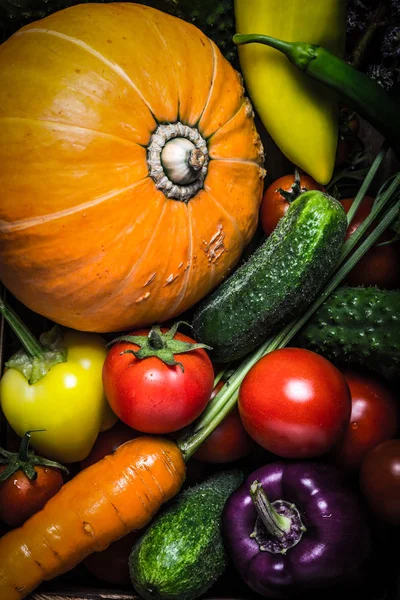 Taze sebze ve otlar doğal arka plan için. Tonda.