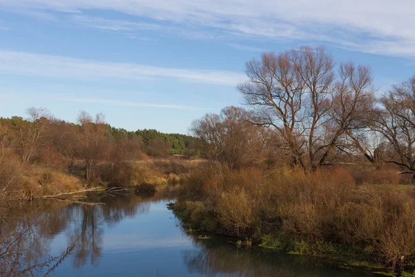 Sonbahar ormanın içinde bir nehir üzerinde güzel manzara.