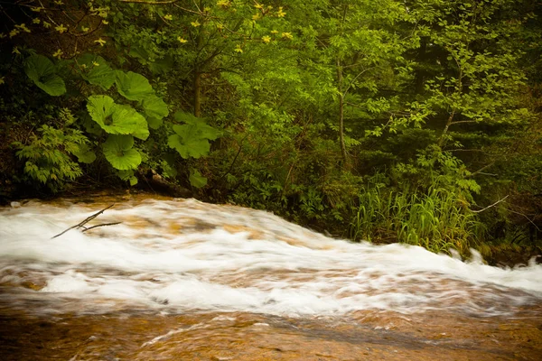 Aguas Tormentosas Río Bosque Enfoque Selectivo Tonificado — Foto de Stock