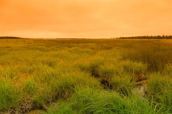 Zomer Landschap Van Het Eiland Sachalin Toned — Stockfoto