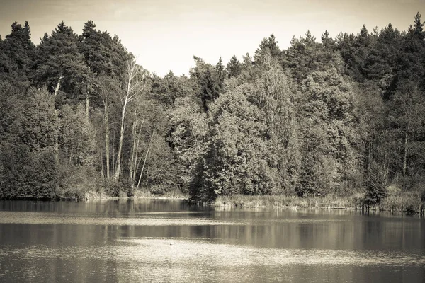 Die Herbstlandschaft Spiegelt Sich See Wider Gemildert — Stockfoto