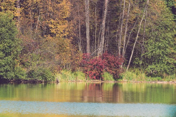 Die Herbstlandschaft Spiegelt Sich See Wider Gemildert — Stockfoto