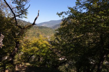 Gürcistan'daki Borjomi dağ manzarası.