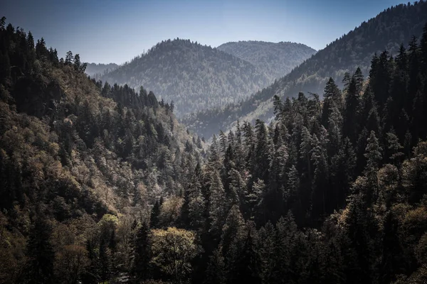 Góry Krajobraz Miasta Bordżomi Gruzji Stonowanych — Zdjęcie stockowe