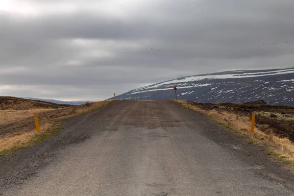 Asphalt Road Beautiful Landscape East Iceland — Stock Photo, Image