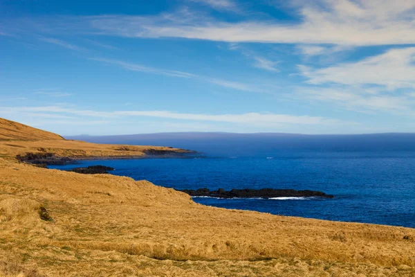 Hierba Costa Pedregosa Del Fiordo Este Islandia — Foto de Stock