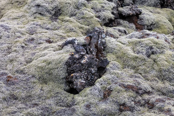 Piedras Del Paisaje Del Desierto Islandia — Foto de Stock