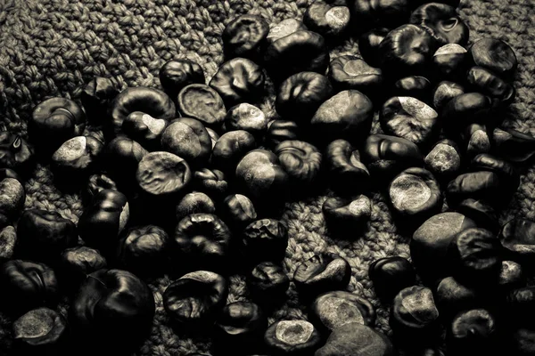 Birçok kestane örme turuncu arka plan üzerinde. Tonda.