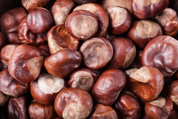 Sacco Castagne Sfondo — Foto Stock