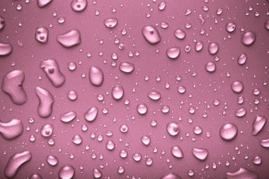 Bir renk arka plan üzerinde Su damlacıkları. Pembe. Tonda.