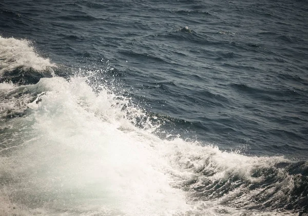 白羽冠的海浪 选择性的焦点 浅景深 定了调子 — 图库照片