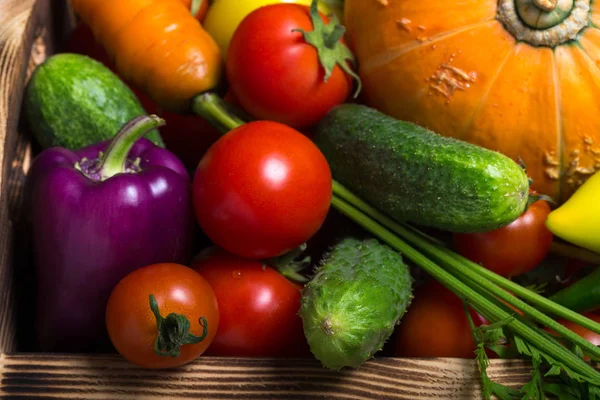 Fresh Vegetables Herbs Natural Background — Stock Photo, Image