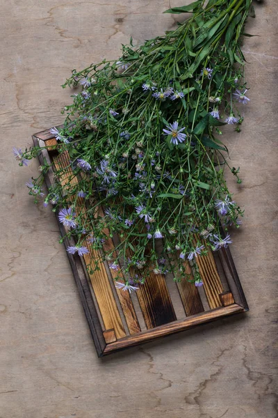 Frische Blumen Und Kräuter Auf Einem Holz Gebrannt Rustikale Textur — Stockfoto