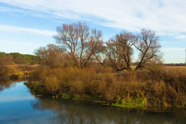 Güzel manzara sonbahar ormanın içinde bir nehir üzerinde. Tonda.