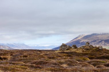 Sarı çim ve karlı üst kısımları dağlardaki bir taşlık kayalık İzlanda manzara çöl.