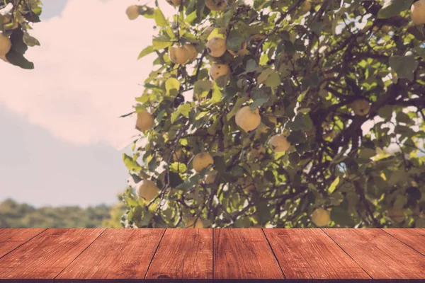 Apple Träd Över Gamla Mörka Träbord Eller Styrelsen Blå Himmel — Stockfoto