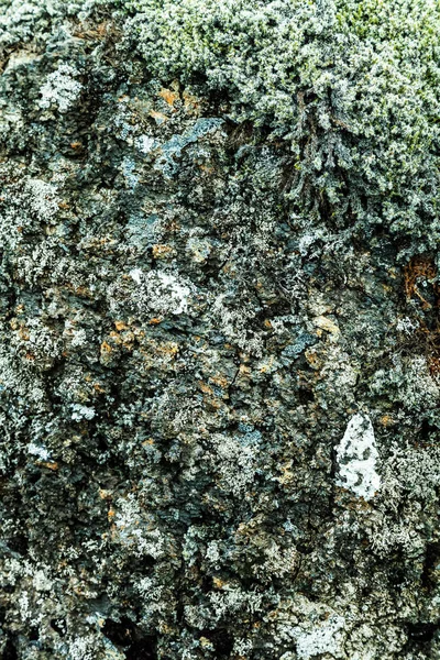 Piedras Del Paisaje Del Desierto Islandia Tonificado — Foto de Stock