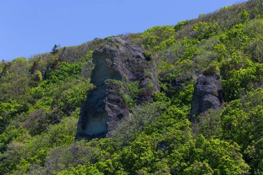 Cape Stolbchaty. Cape Kunashir Adası batı kıyısında. Mendeleyev volkanın bazaltik lavaş katmanların oluşur.