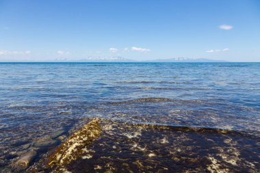 Cape Stolbchaty. Cape Kunashir Adası batı kıyısında. Mendeleyev volkanın bazaltik lavaş katmanların oluşur.
