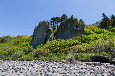 Cape Stolbchaty. Cape Kunashir Adası batı kıyısında. Mendeleyev volkanın bazaltik lavaş katmanların oluşur.