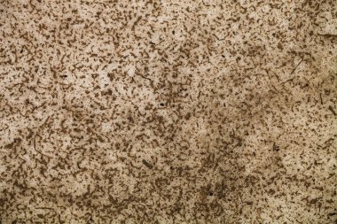 Bahar, eski, kirli kar. Doku, arka plan