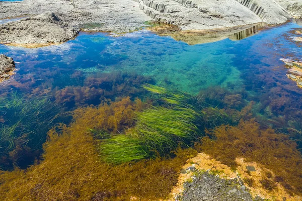 Cape Stolbchaty Kap Der Westküste Der Insel Kunaschir Besteht Aus — Stockfoto