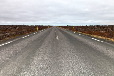 İzlanda'nın Doğu'daki güzel manzara asfalt yolda.