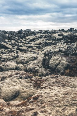 İzlanda'nın taşlık kayalık çöl manzara. Tonda.