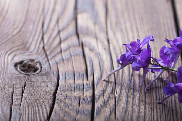 Blaue Wildblumen Liegen Auf Einem Alten Brett — Stockfoto