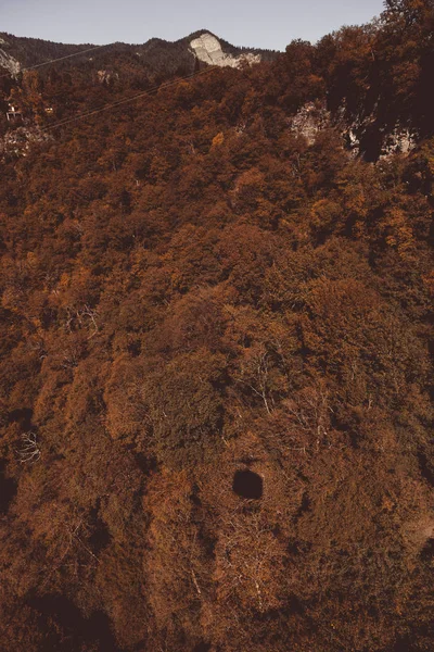Borjomi 的山风景在佐治亚 — 图库照片