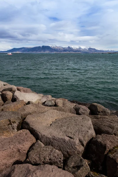 Stormy sea of the fjord in the east of Iceland.