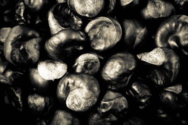 Kestane arka plan için çok. Tonda.