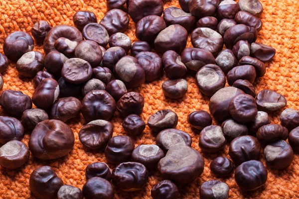 Muchas Castañas Sobre Fondo Naranja Punto — Foto de Stock