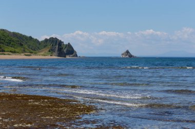 Cape Stolbchaty. Cape Kunashir Adası batı kıyısında. Mendeleyev volkanın bazaltik lavaş katmanların oluşur.