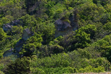 Cape Stolbchaty. Cape Kunashir Adası batı kıyısında. Mendeleyev volkanın bazaltik lavaş katmanların oluşur.