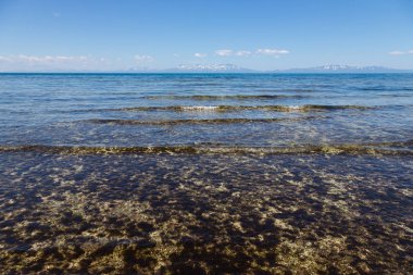 Cape Stolbchaty. Cape Kunashir Adası batı kıyısında. Mendeleyev volkanın bazaltik lavaş katmanların oluşur. Ufukta Japonya'ya ait Hokkaido Adası görebilirsiniz.