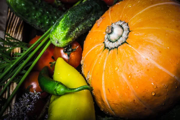 Friske Grønnsaker Urter Til Naturlig Bakgrunn Garvet – stockfoto
