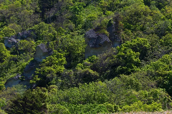 Stolbchaty 国後島の西海岸の岬 それはメンデレーエフ火山の玄武岩質溶岩の層から成る — ストック写真