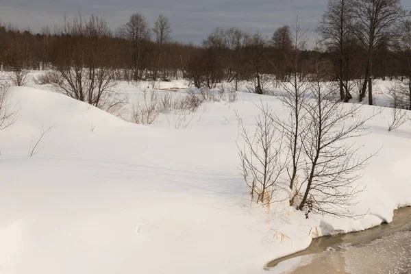 Het Sombere Weer Winter Russische Provinciaal Landschap — Stockfoto