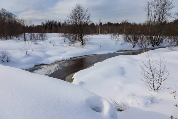 Het Sombere Weer Winter Russische Provinciaal Landschap — Stockfoto