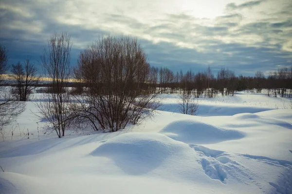 Tempo Sombrio Inverno Paisagem Provincial Russa Tonificado — Fotografia de Stock