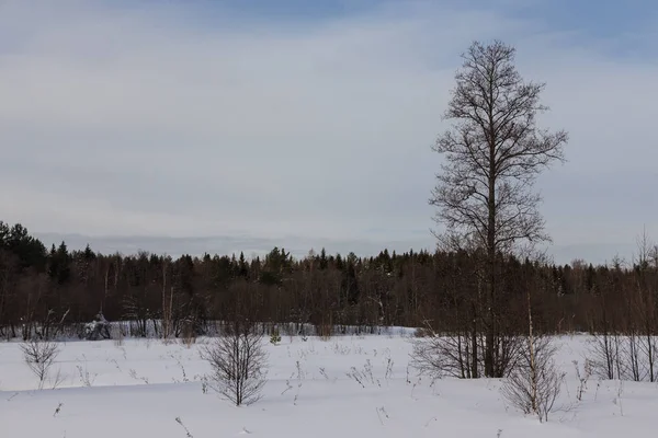 冬天的阴郁天气 俄国省级风景 — 图库照片