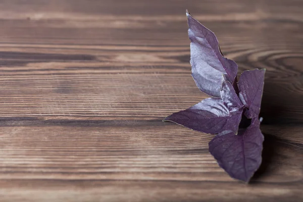 Obere Blätter Eines Violetten Basilikums Auf Einem Alten Holzbrett Liegend — Stockfoto