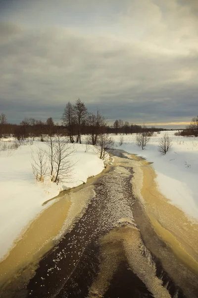 冬天的阴郁天气 俄罗斯省级景观 — 图库照片