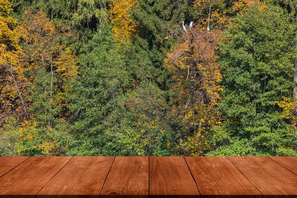 View Beautiful Autumn Landscape Dark Wooden Table — Stock Photo, Image